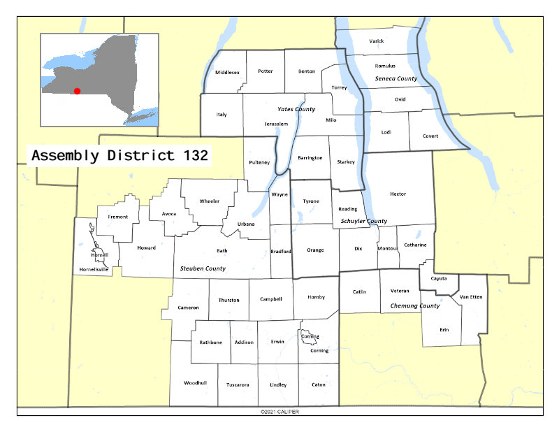 New York State's 136th Assembly District